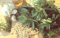 A Traditional Italian Pesto Recipe Image